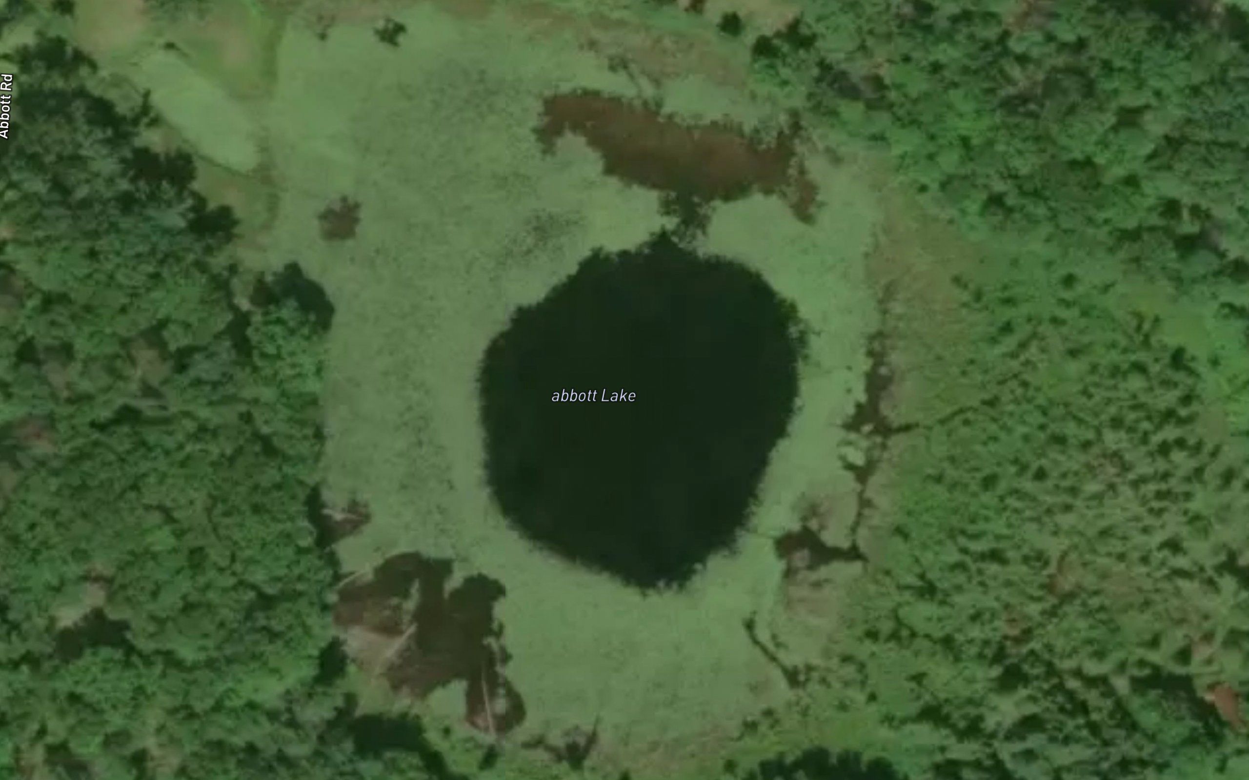 Abbott Lake