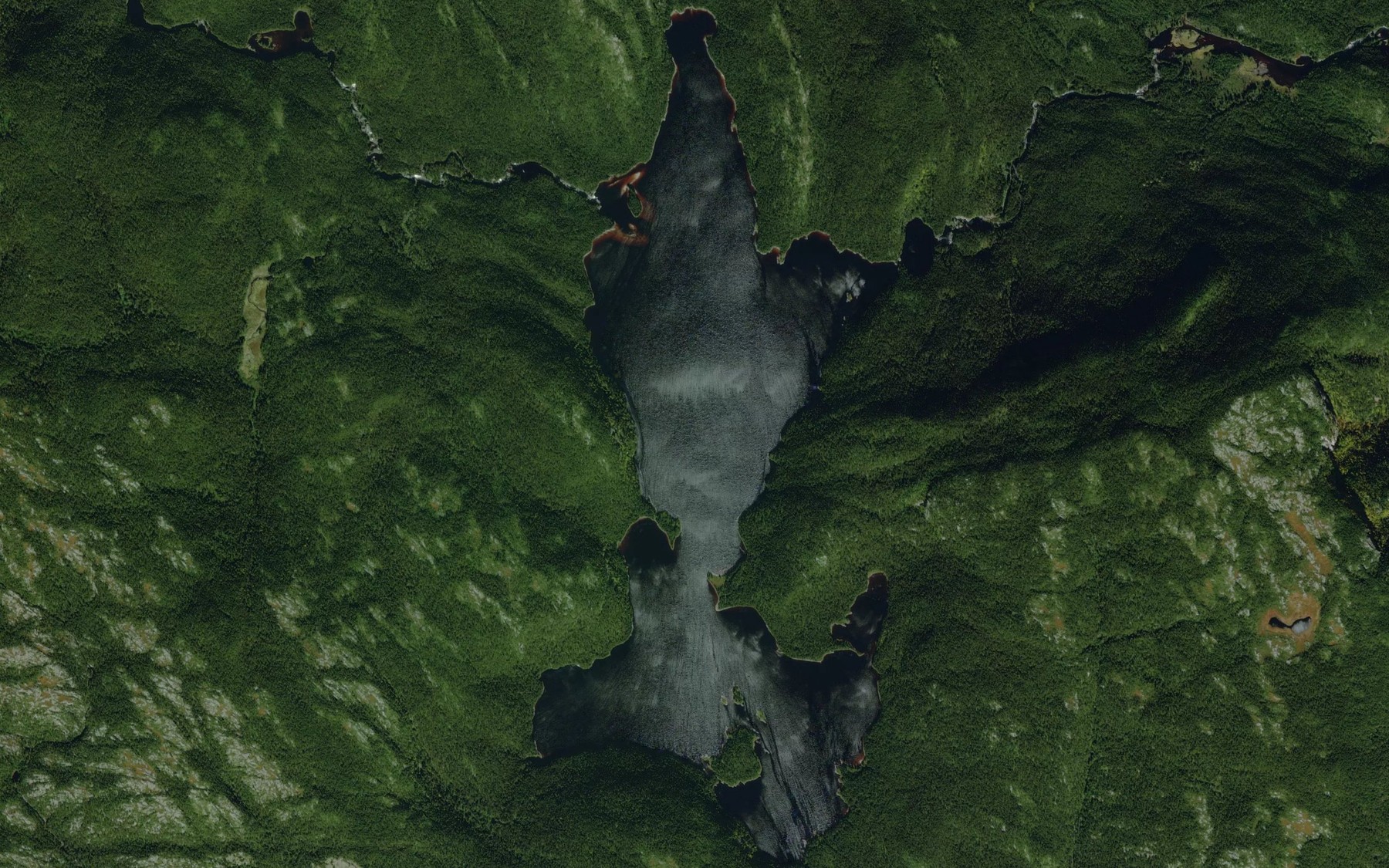 Satellite map of the Lac a Charles