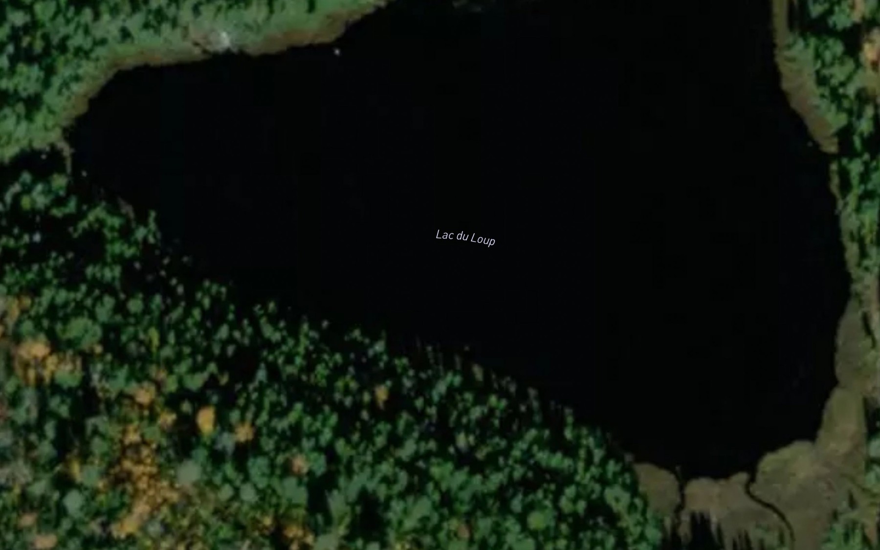 Satellite map of the Lac du Loup