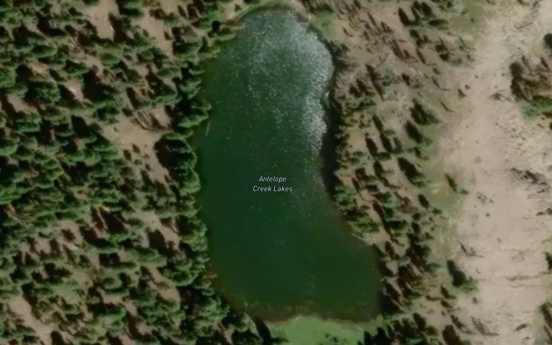 Satellite map of the Antelope Creek Lakes