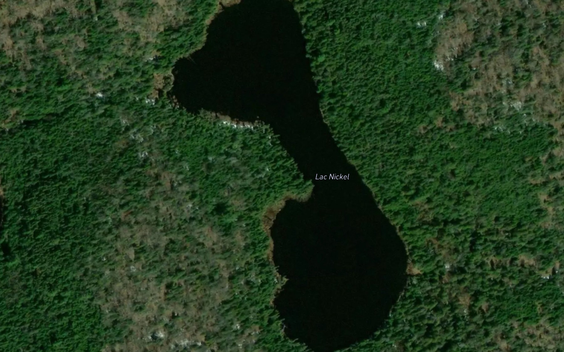 Satellite map of the Lac Nickel