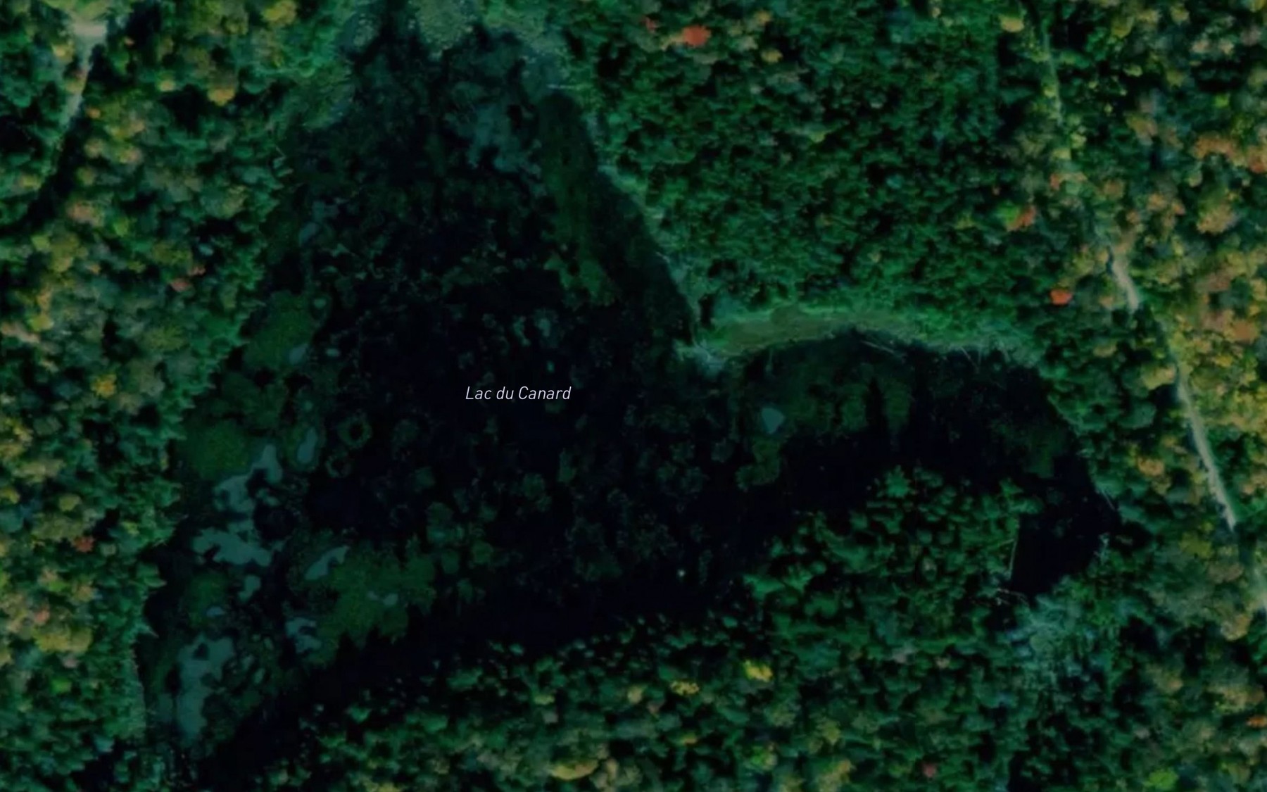 Satellite map of the Lac du Canard