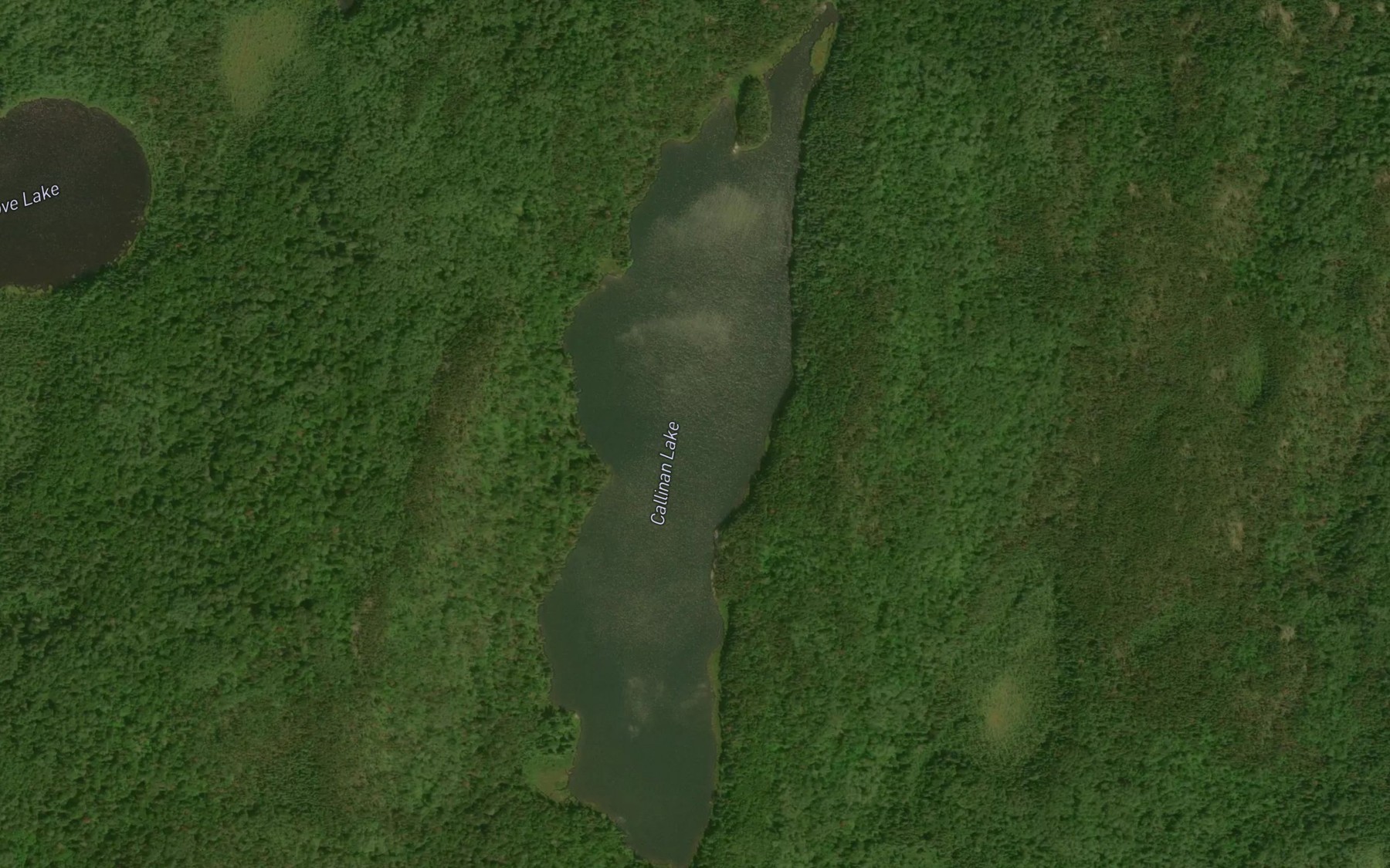Satellite map of the Callinan Lake