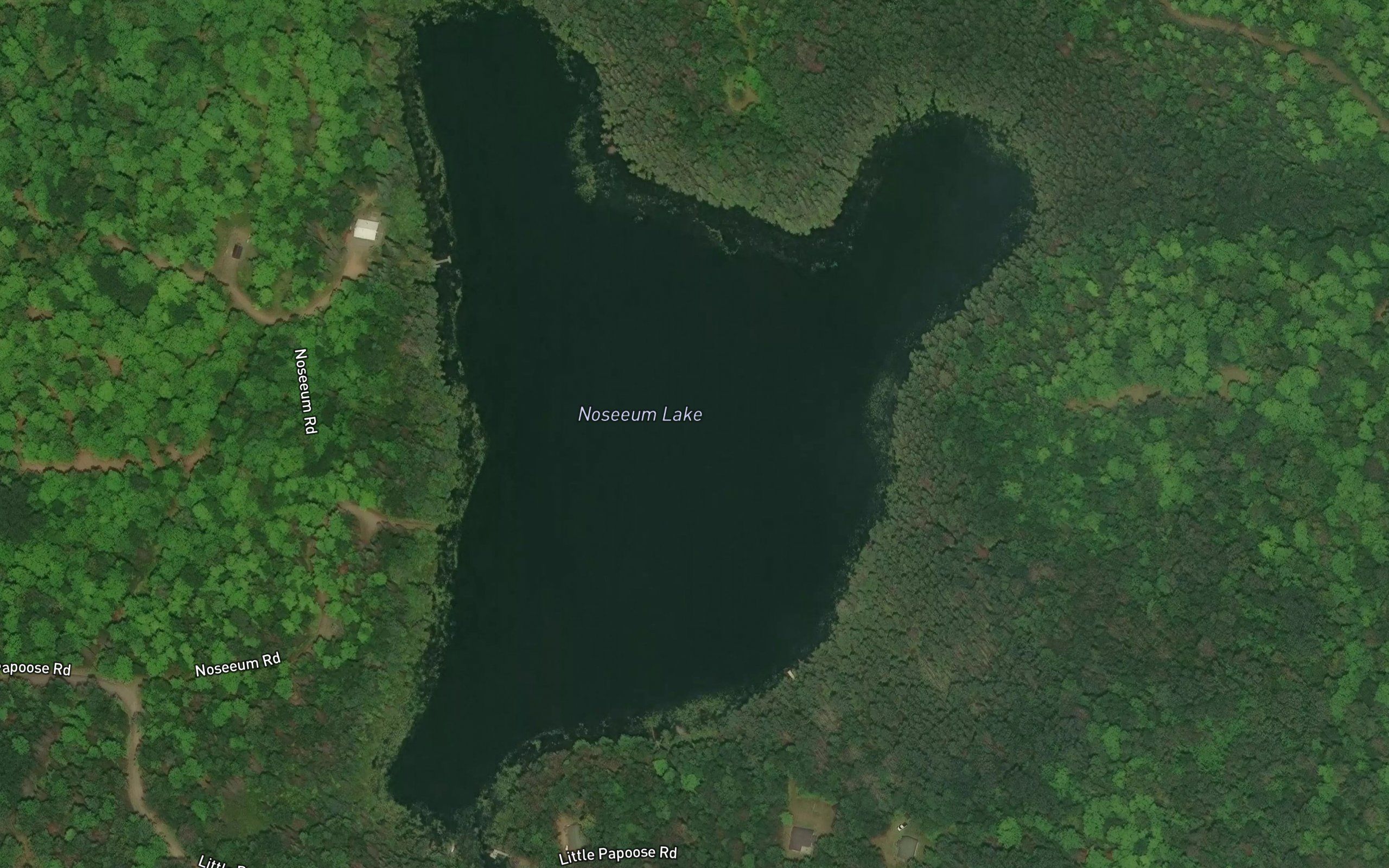 Noseeum Lake