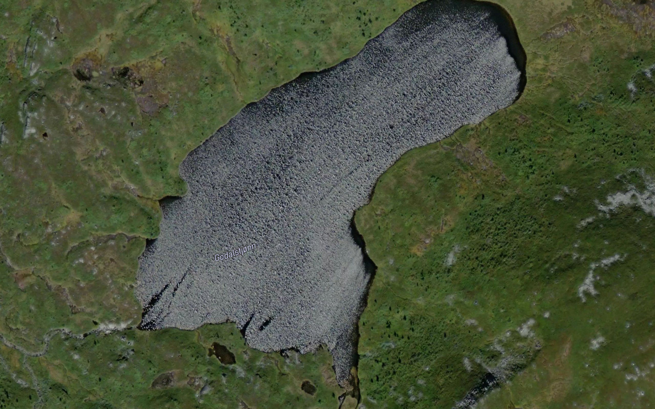 Goddalstjorna