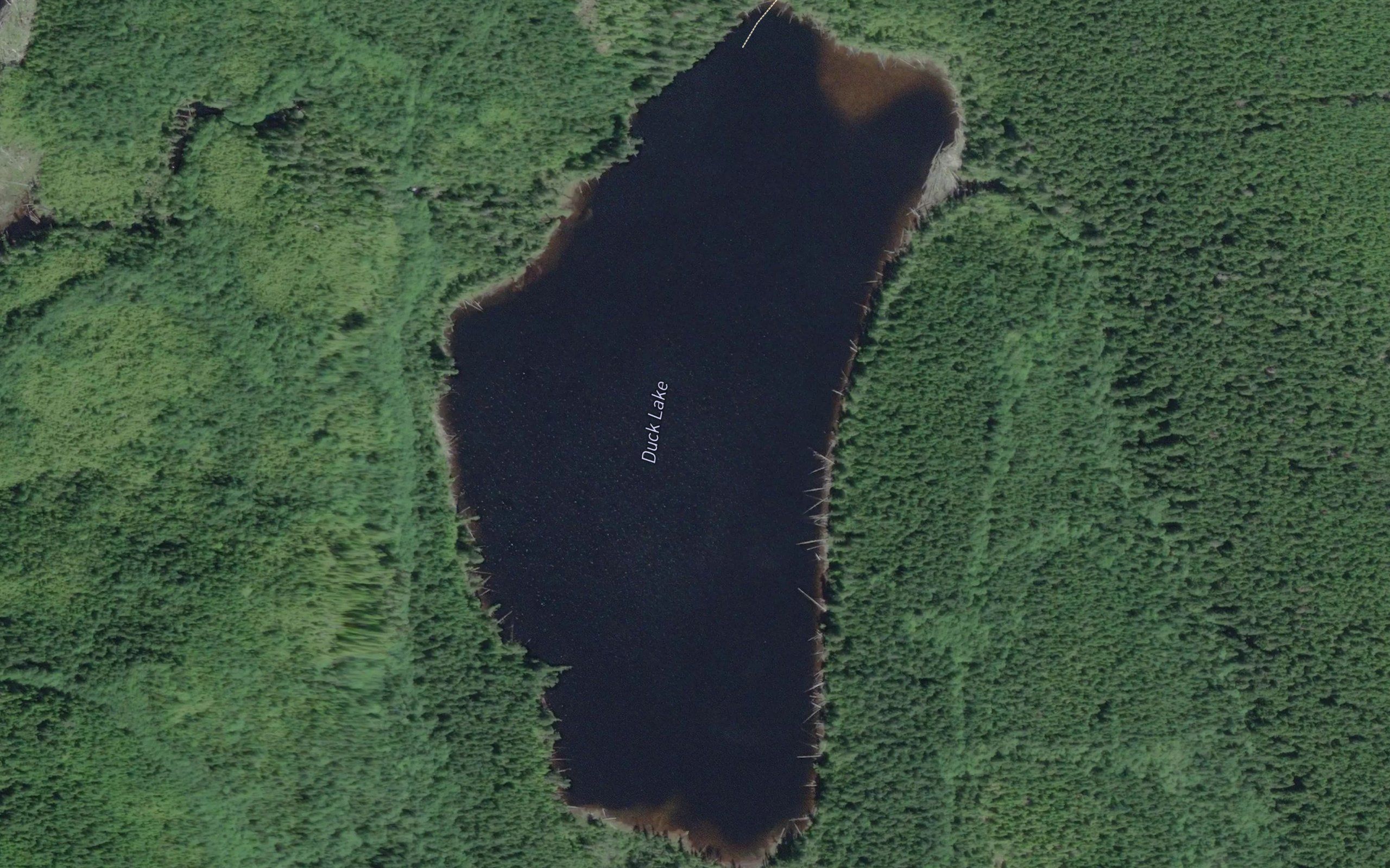 Duck Lake