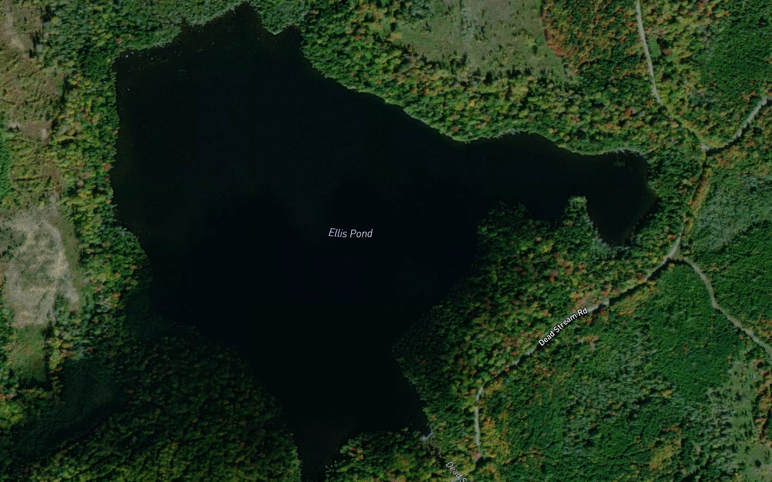 Ellis Pond