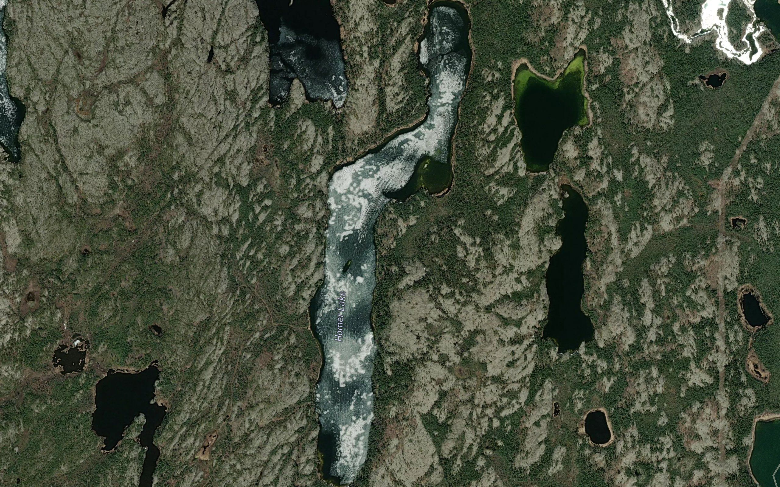 Homer Lake