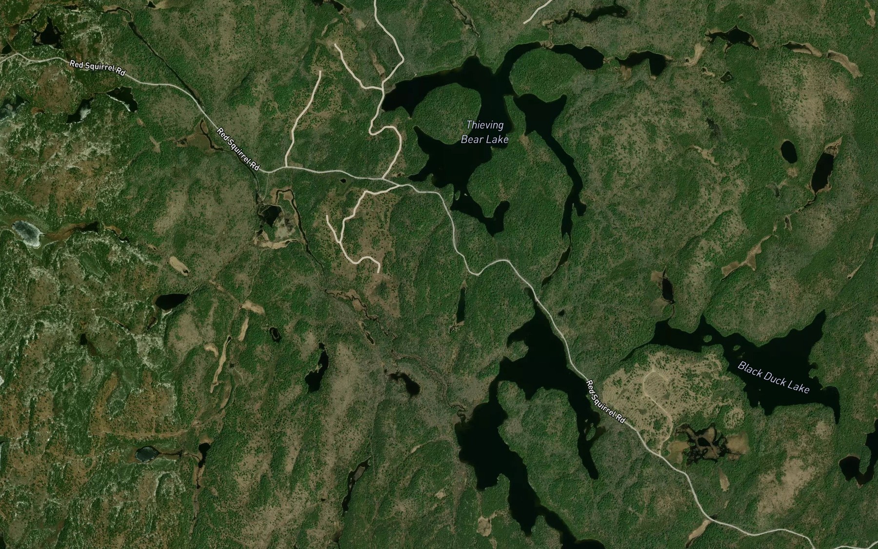 Satellite map of the Snare Creek