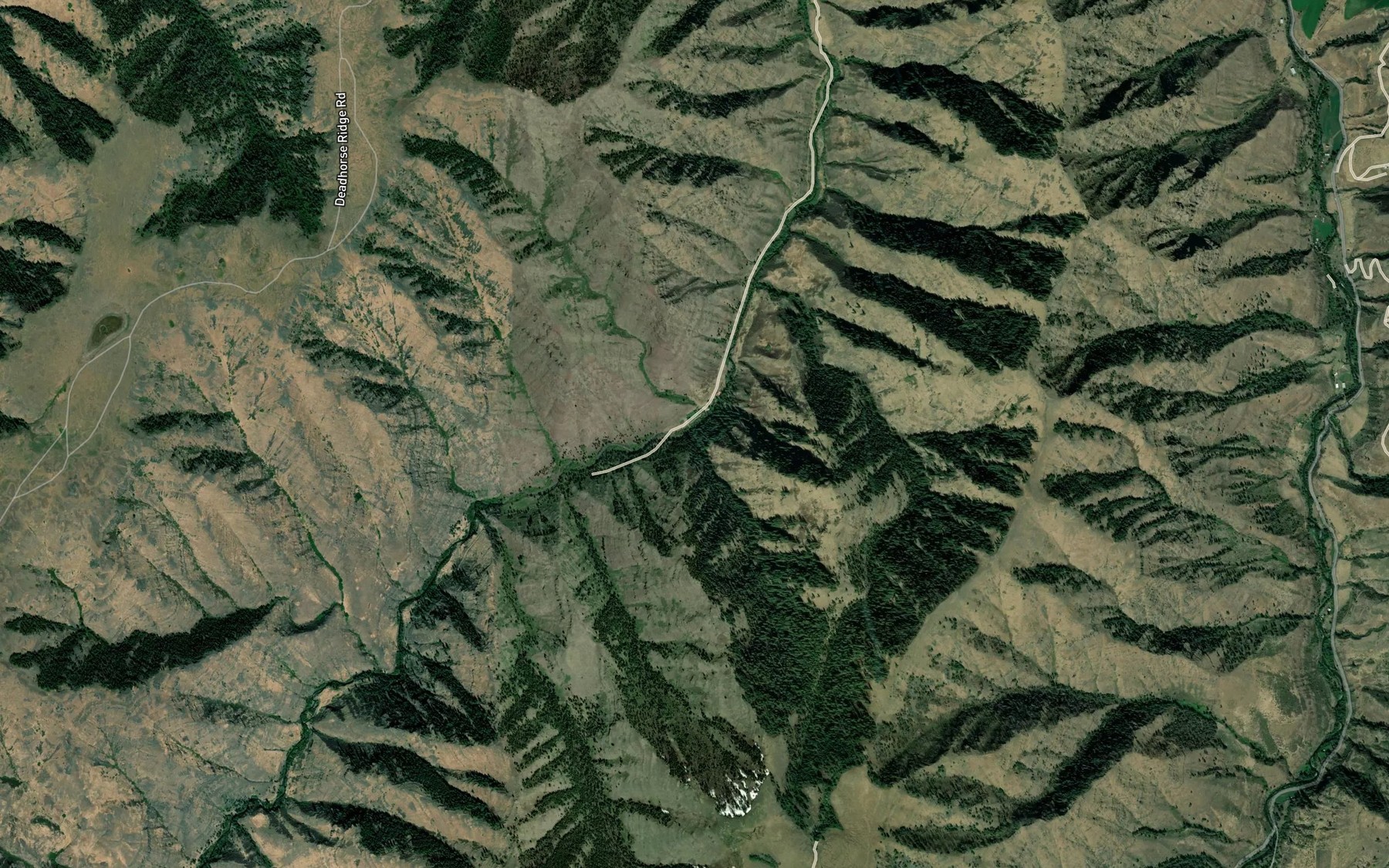 Satellite map of the East Muley Creek