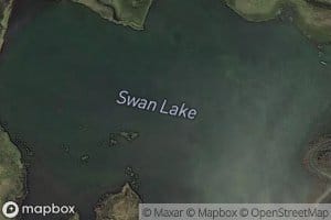 Swan Lake
