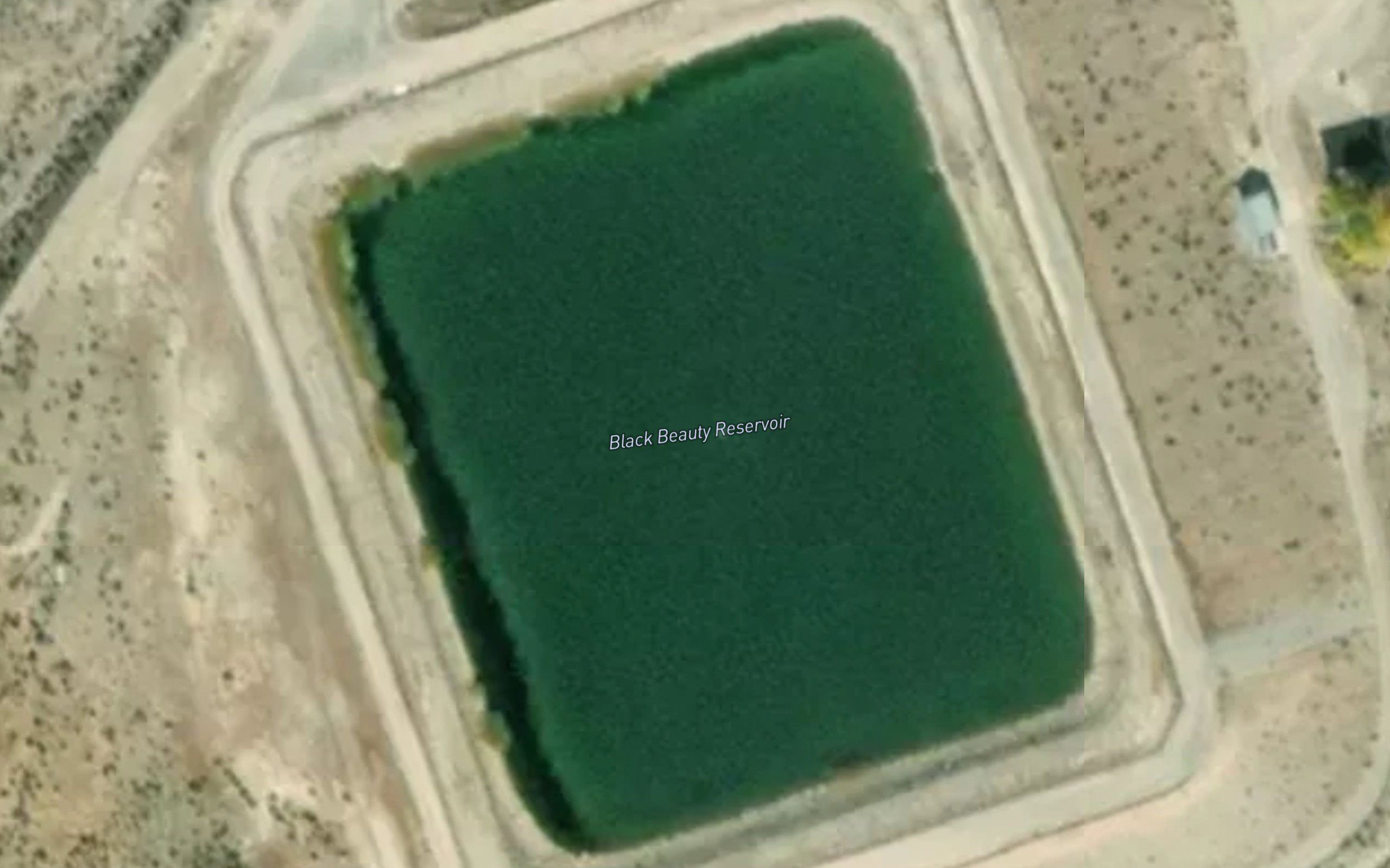 Black Beauty Reservoir