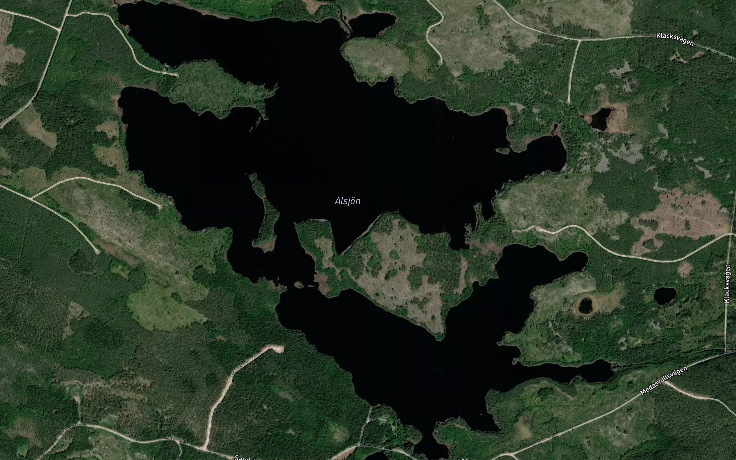 Alsjoarna