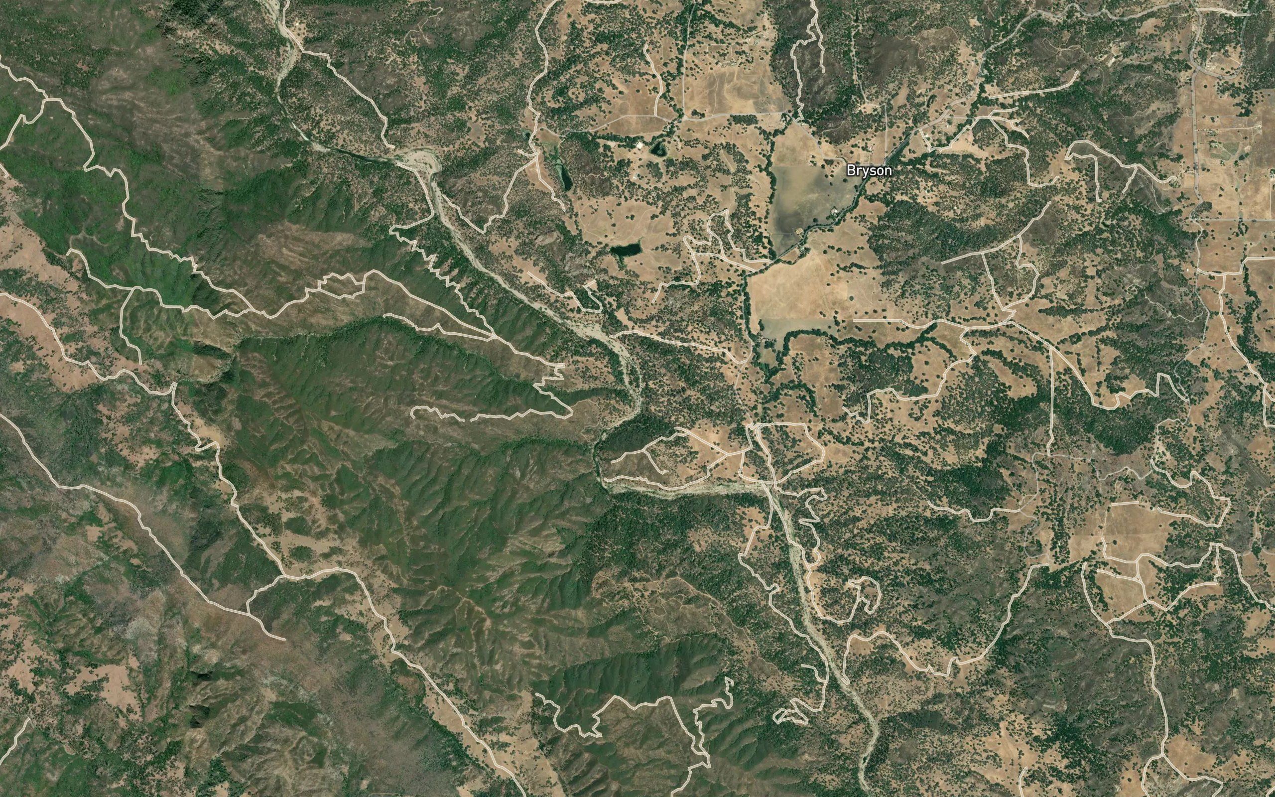 Waterdog Creek