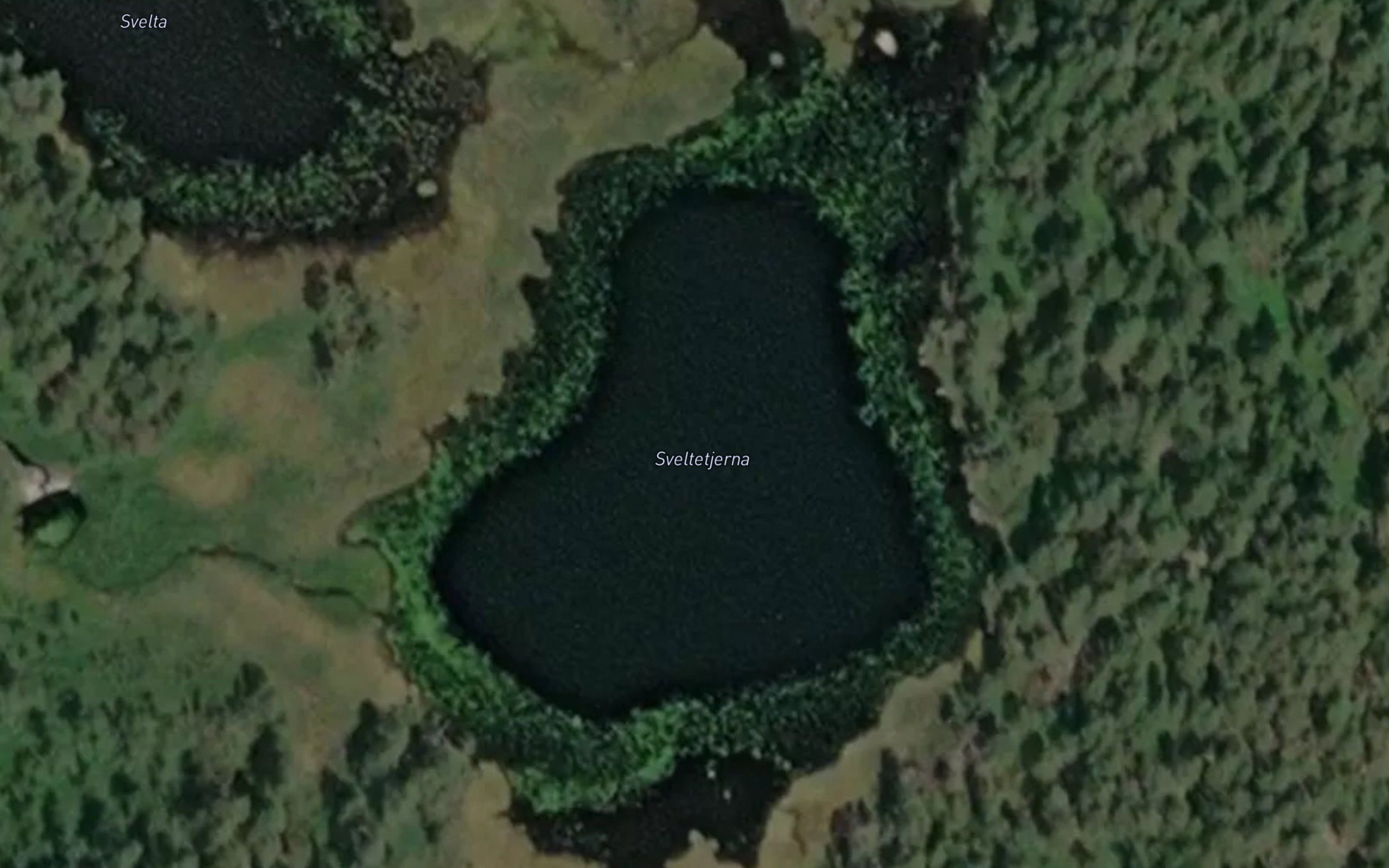 Sveltetjerna