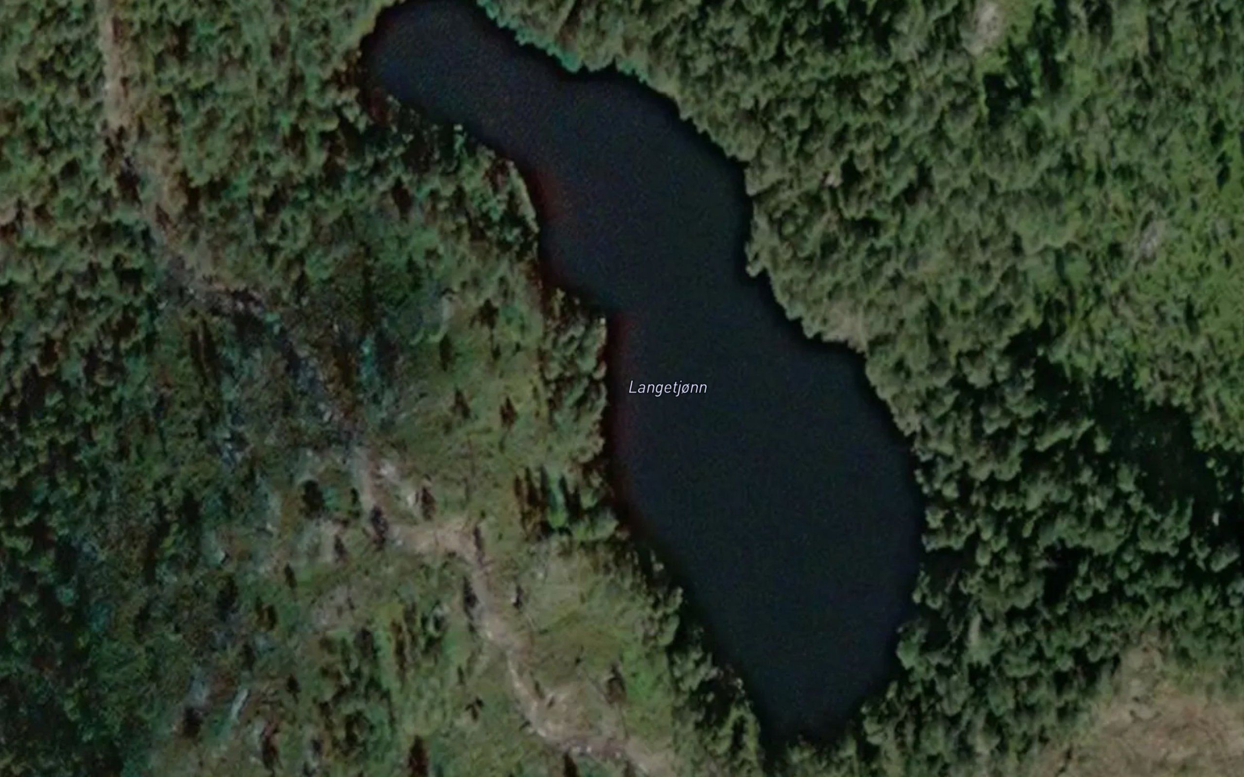 Langtjorn