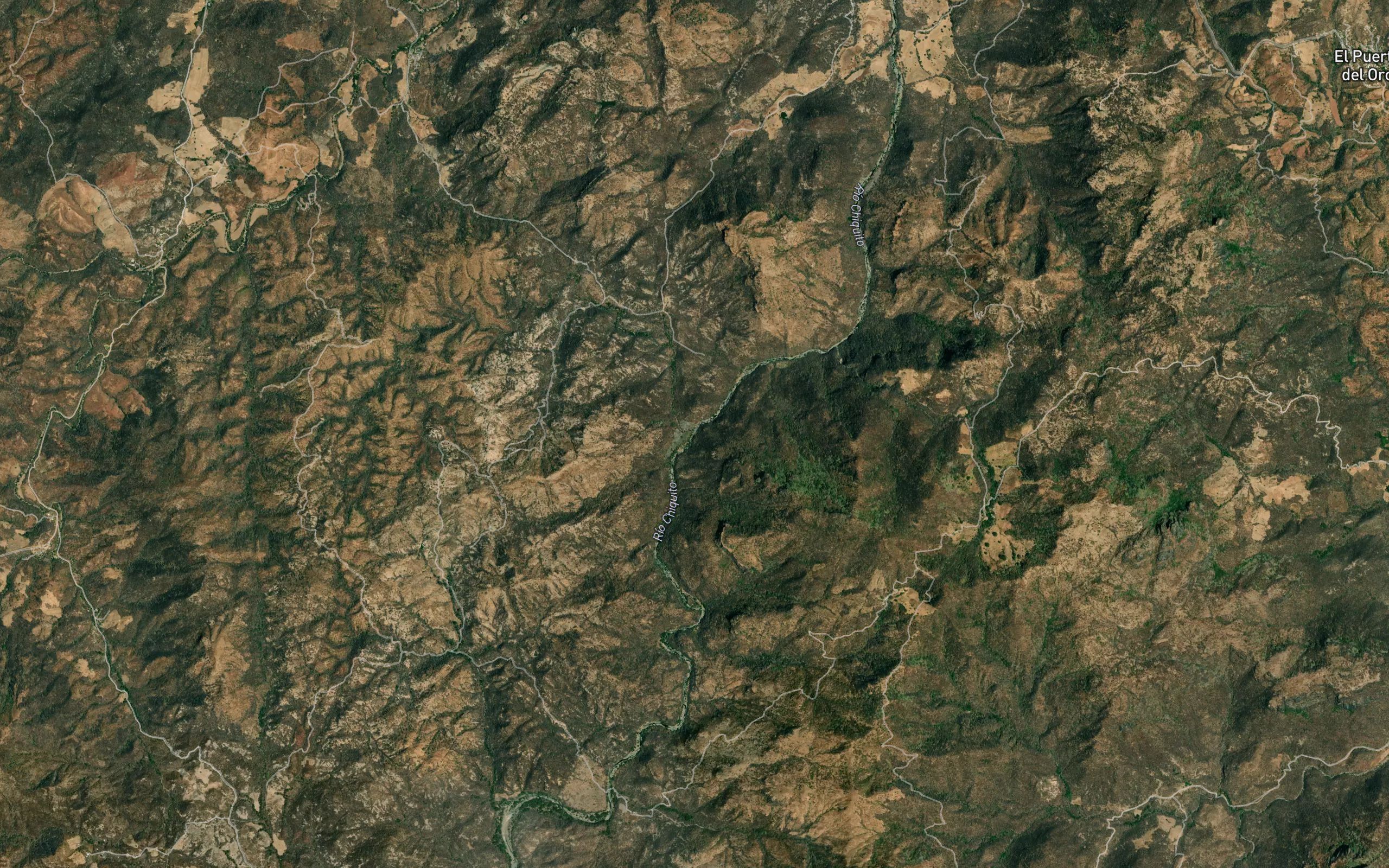 El Pino