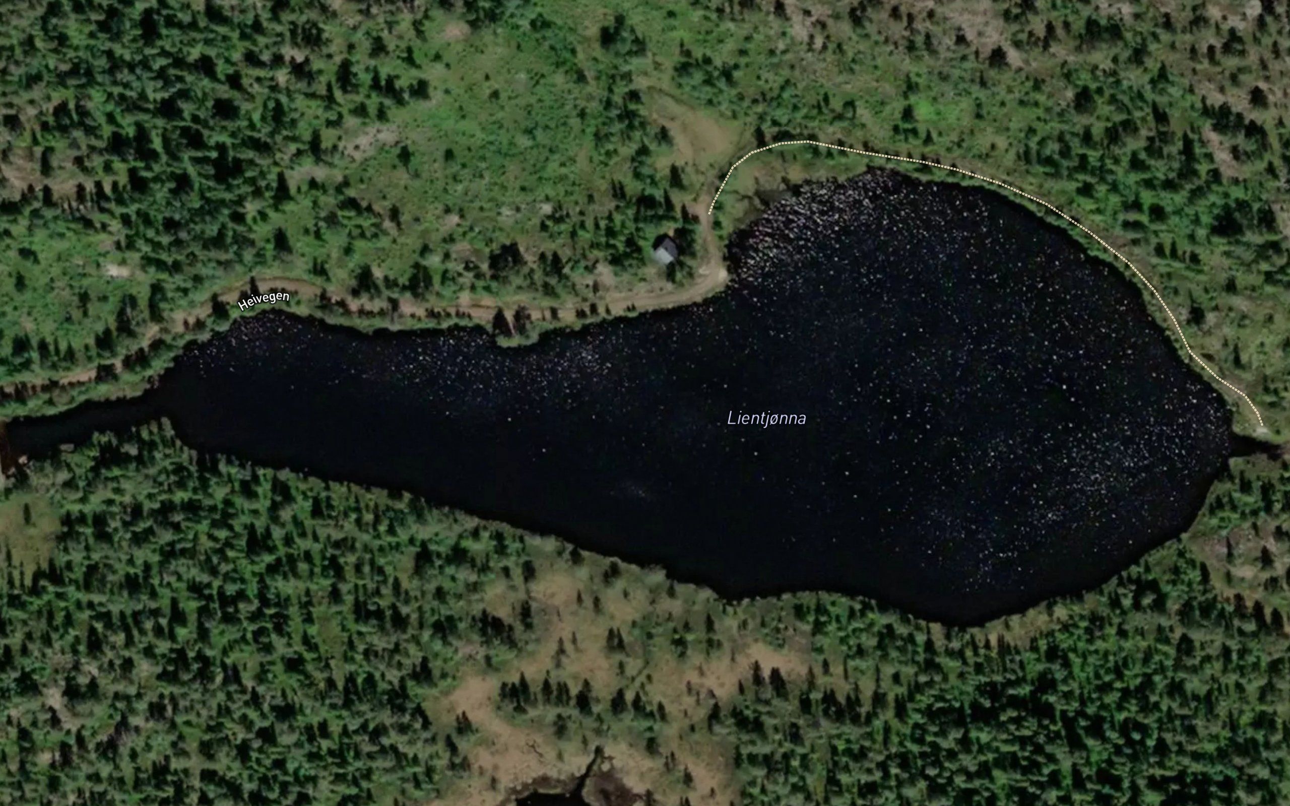 Lientjonna