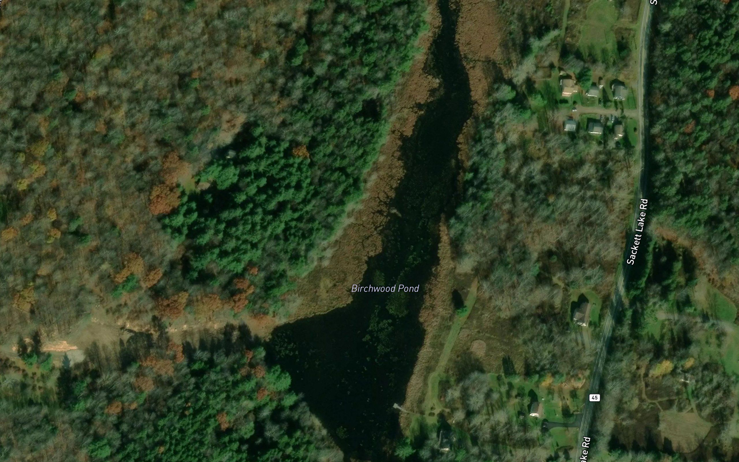 Birchwood Pond