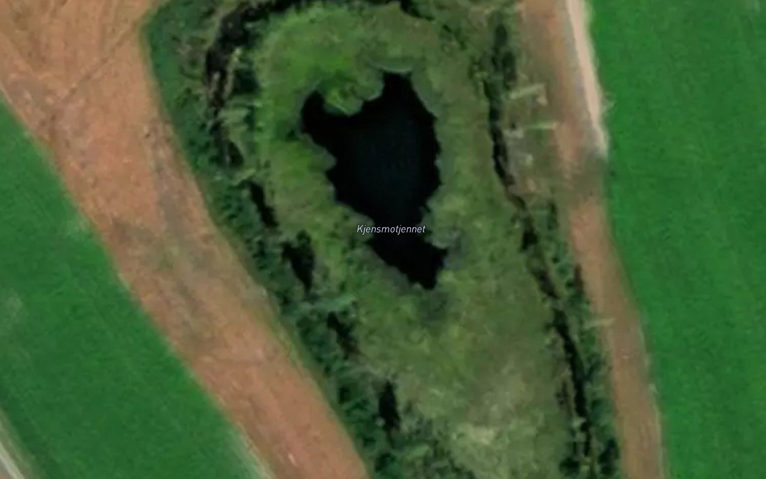 Kjensmotjennet