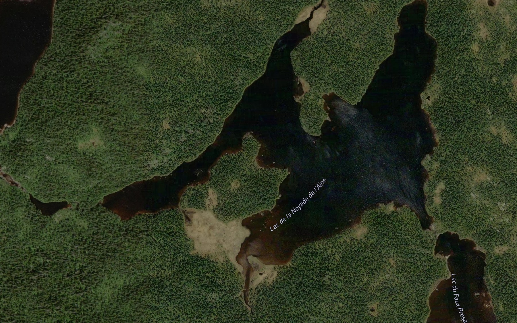 Satellite map of the Lac de la Noyade de l'Aine