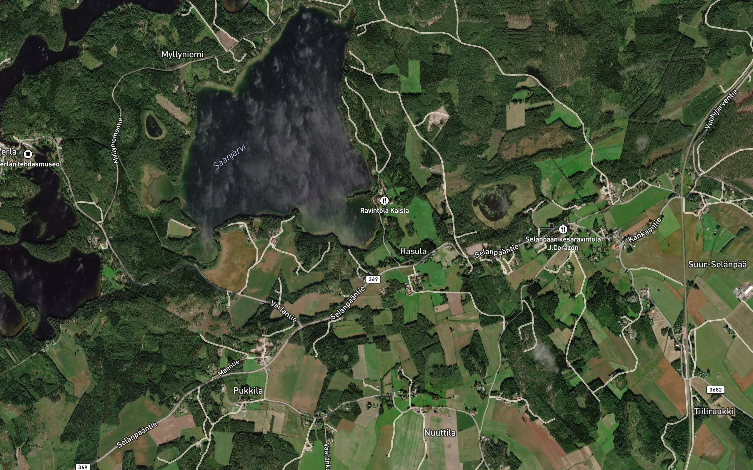 Toronoja