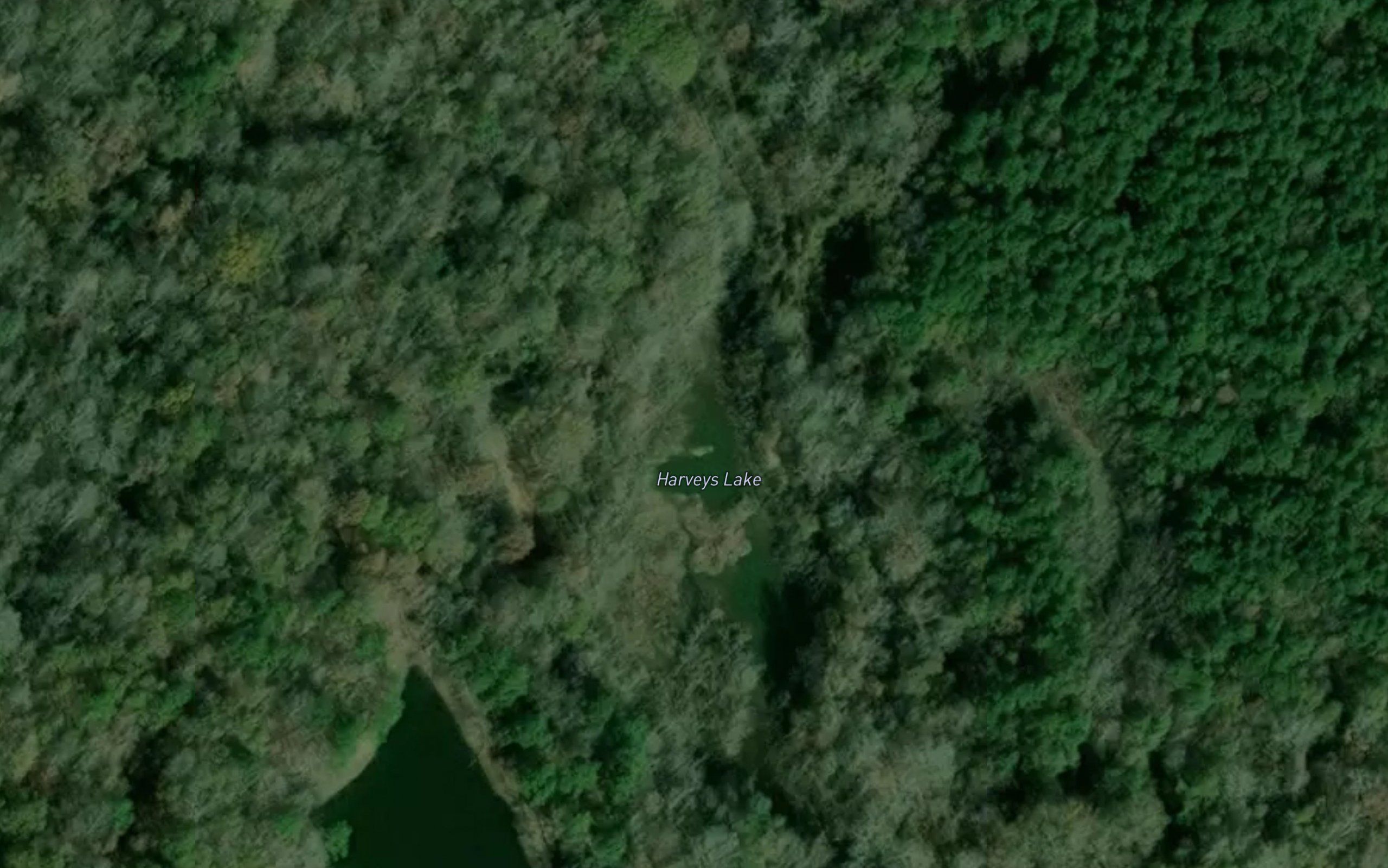 Harveys Lake
