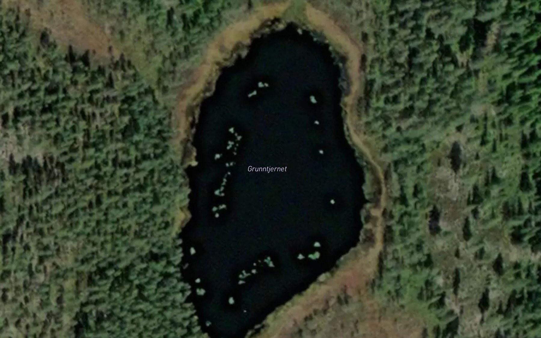 Satellite map of the Grunntjernet