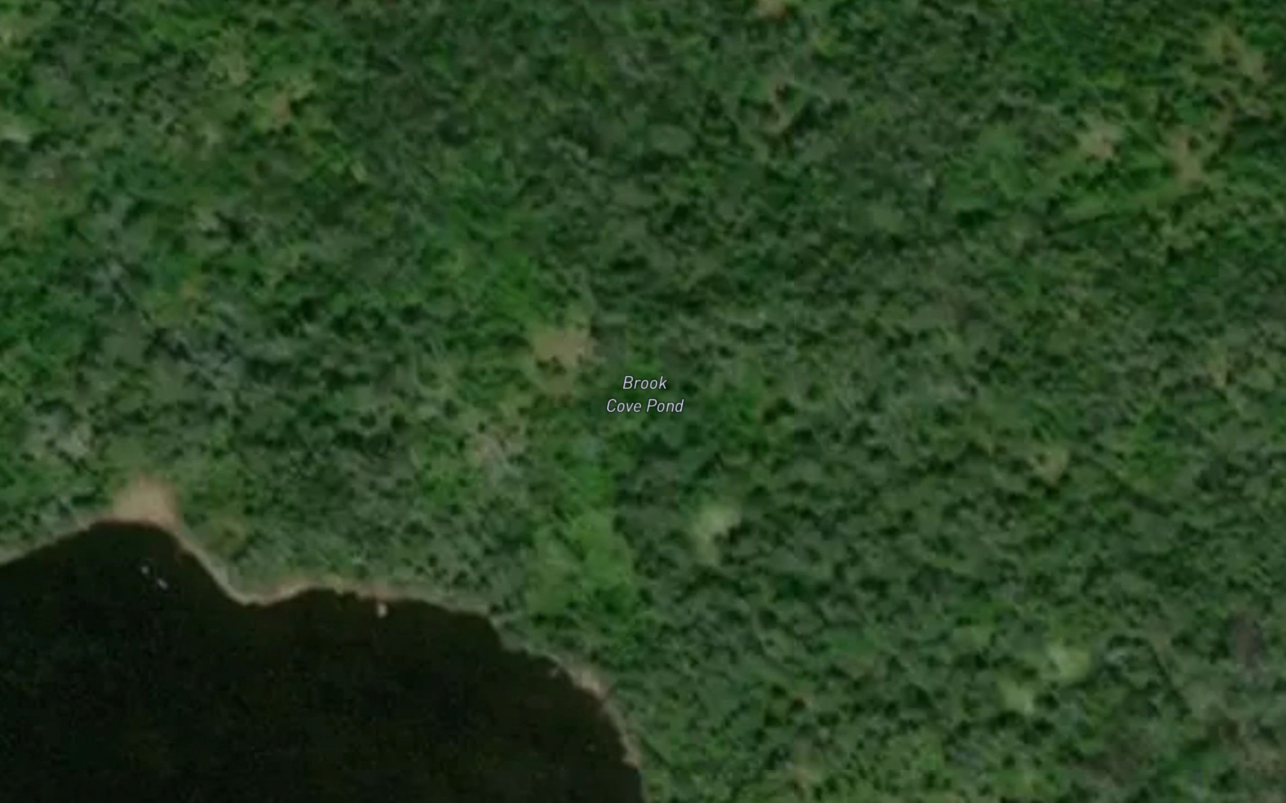 Brook Cove Pond