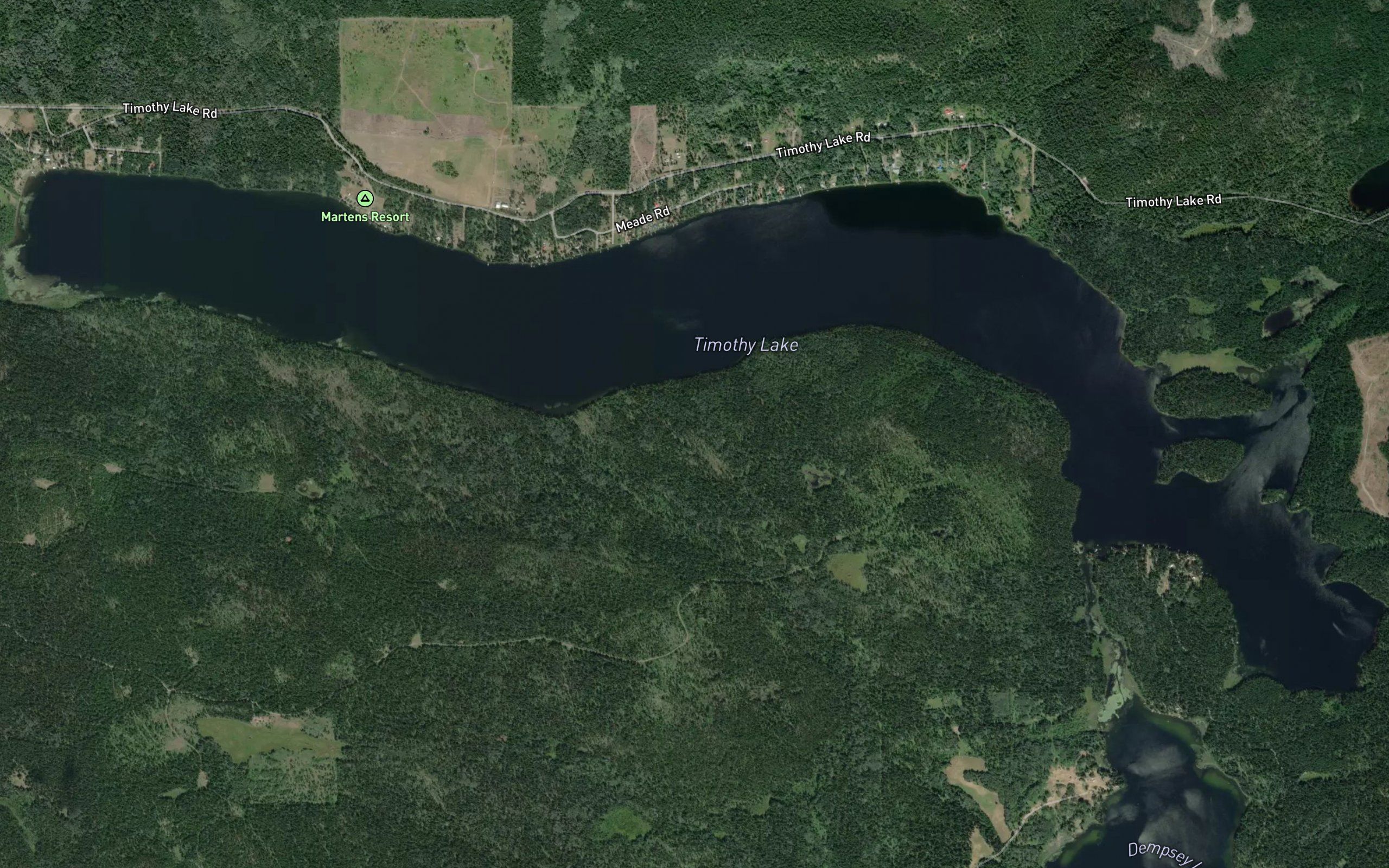 Timothy Lake