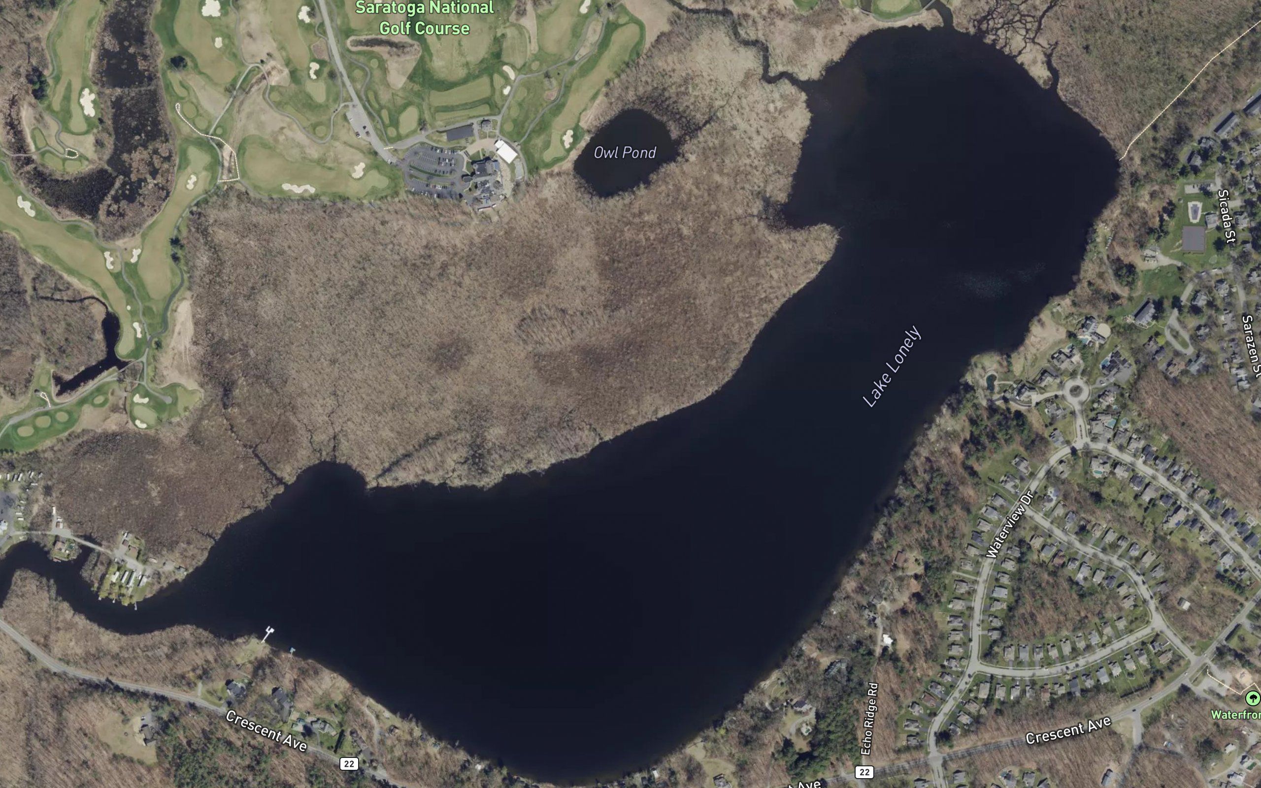 Lake Lonely