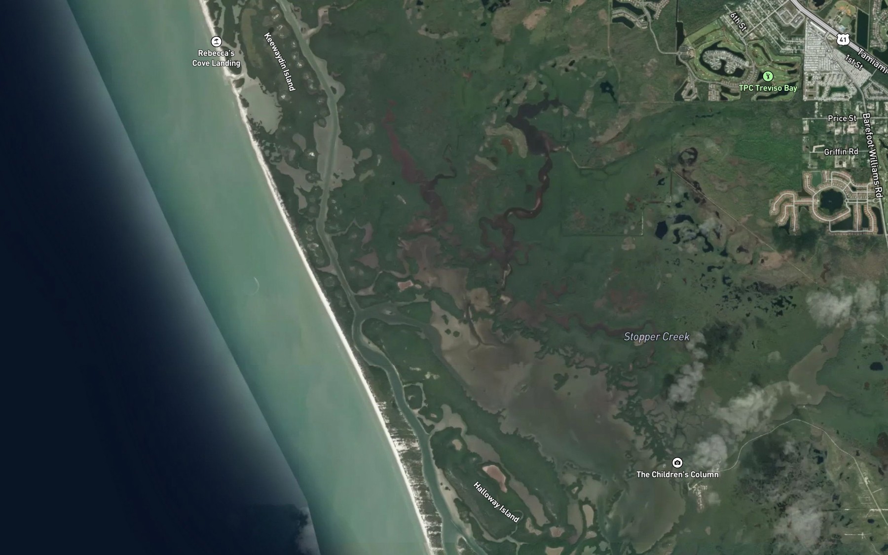 Satellite map of the The First National
