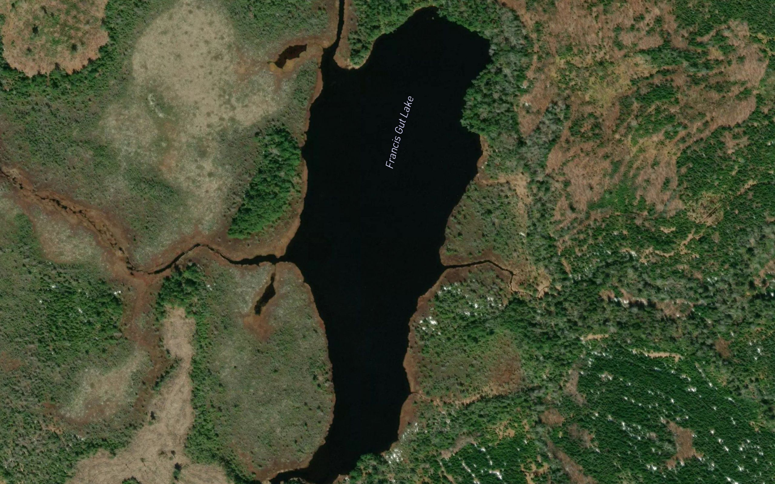 Francis Gut Lake