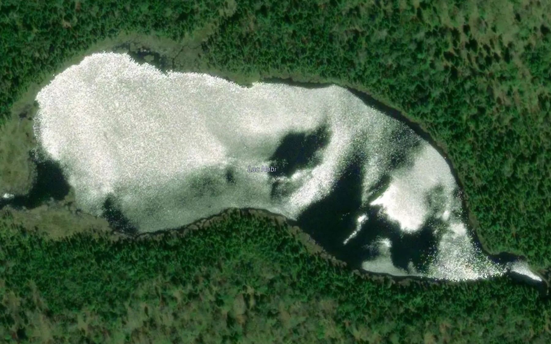 Satellite map of the Lac Nabi