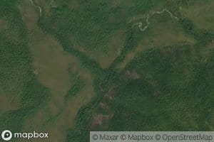 Severnyy Chashchevityy