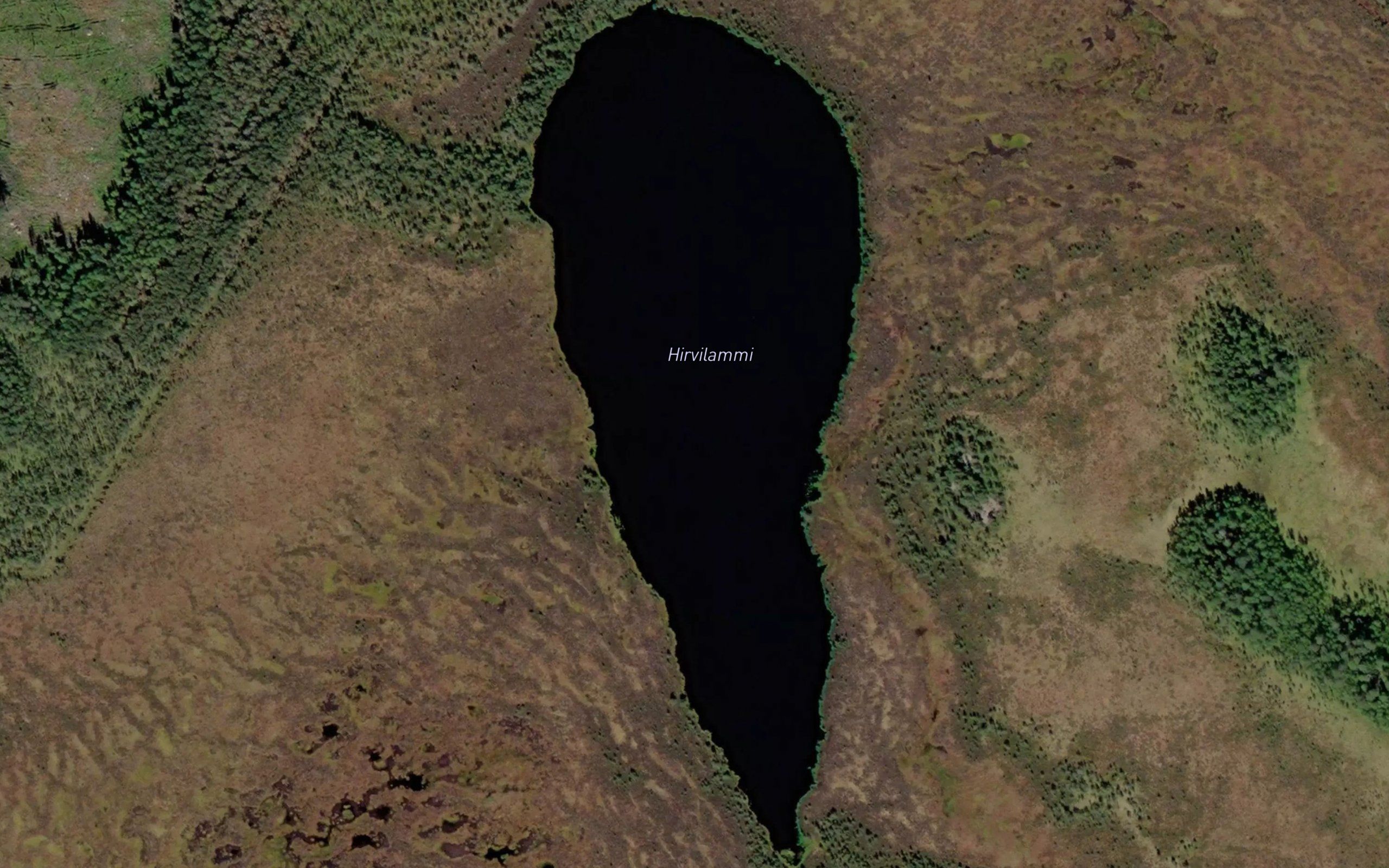 Hirvilammi
