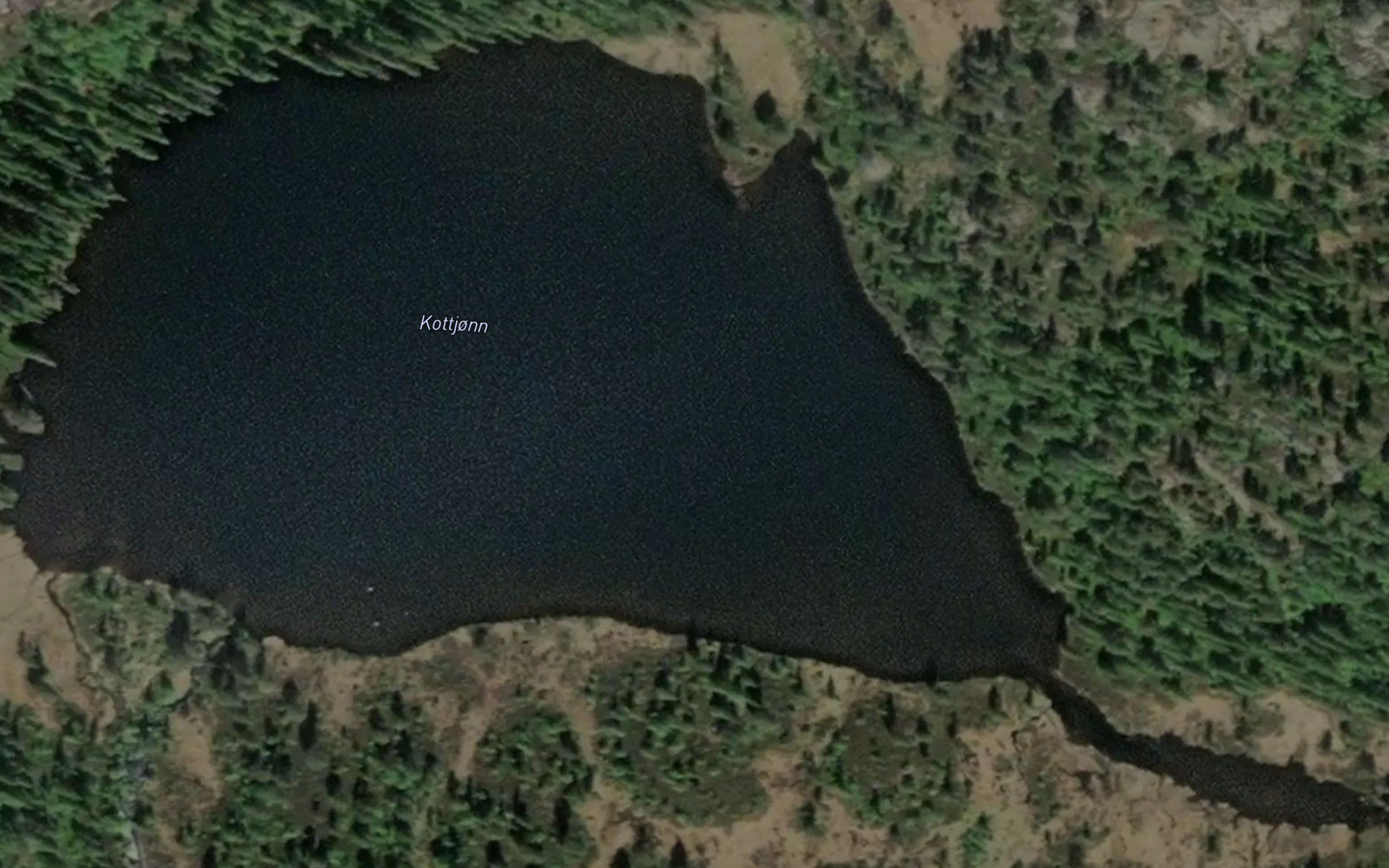 Kottjonn