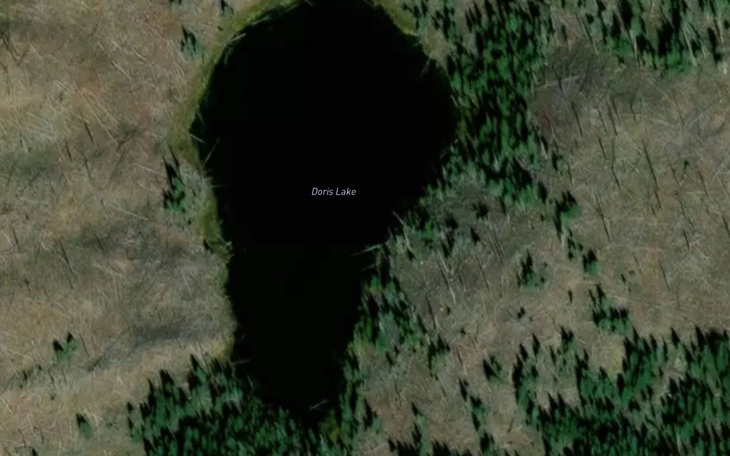 Doris Lake