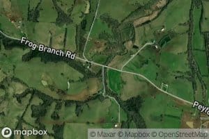 Frog Branch