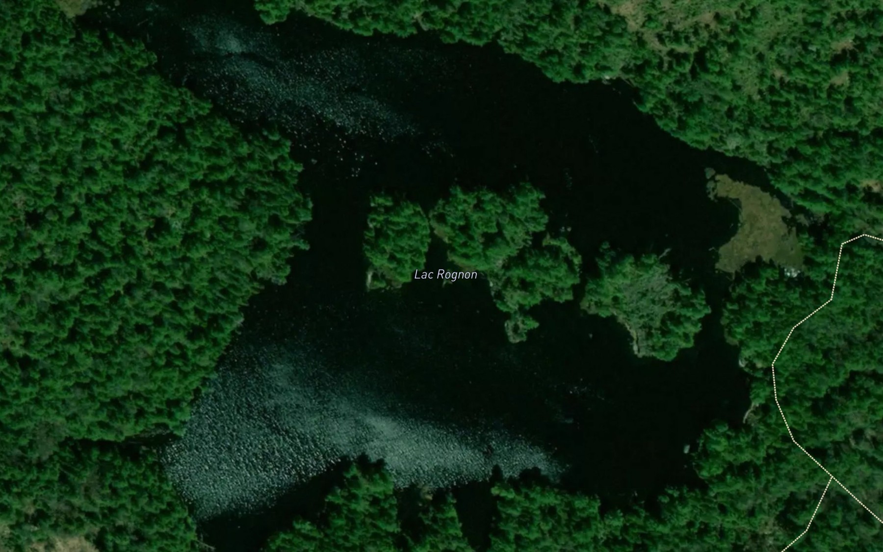 Satellite map of the Petit lac Rognon