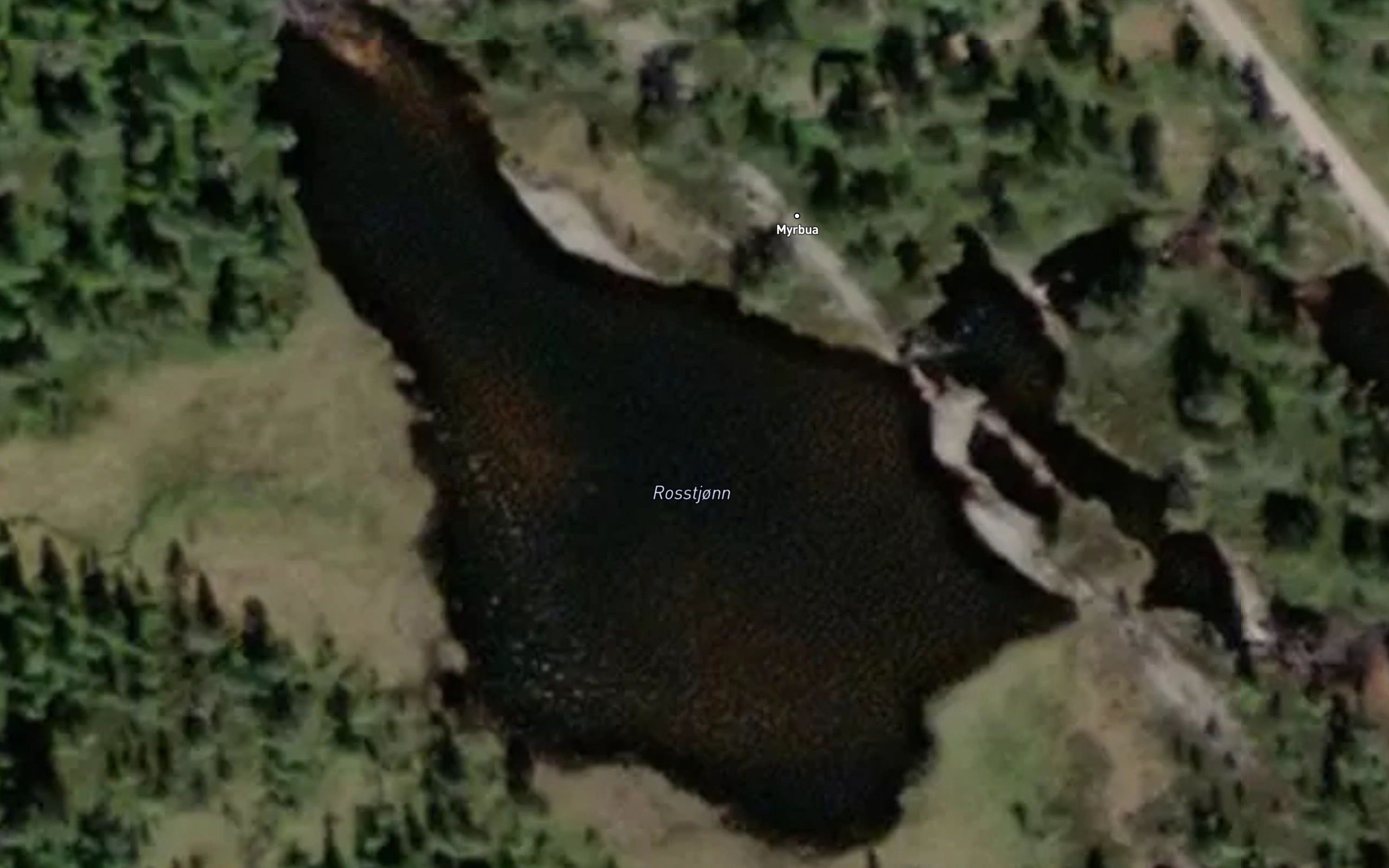 Rosstjorn