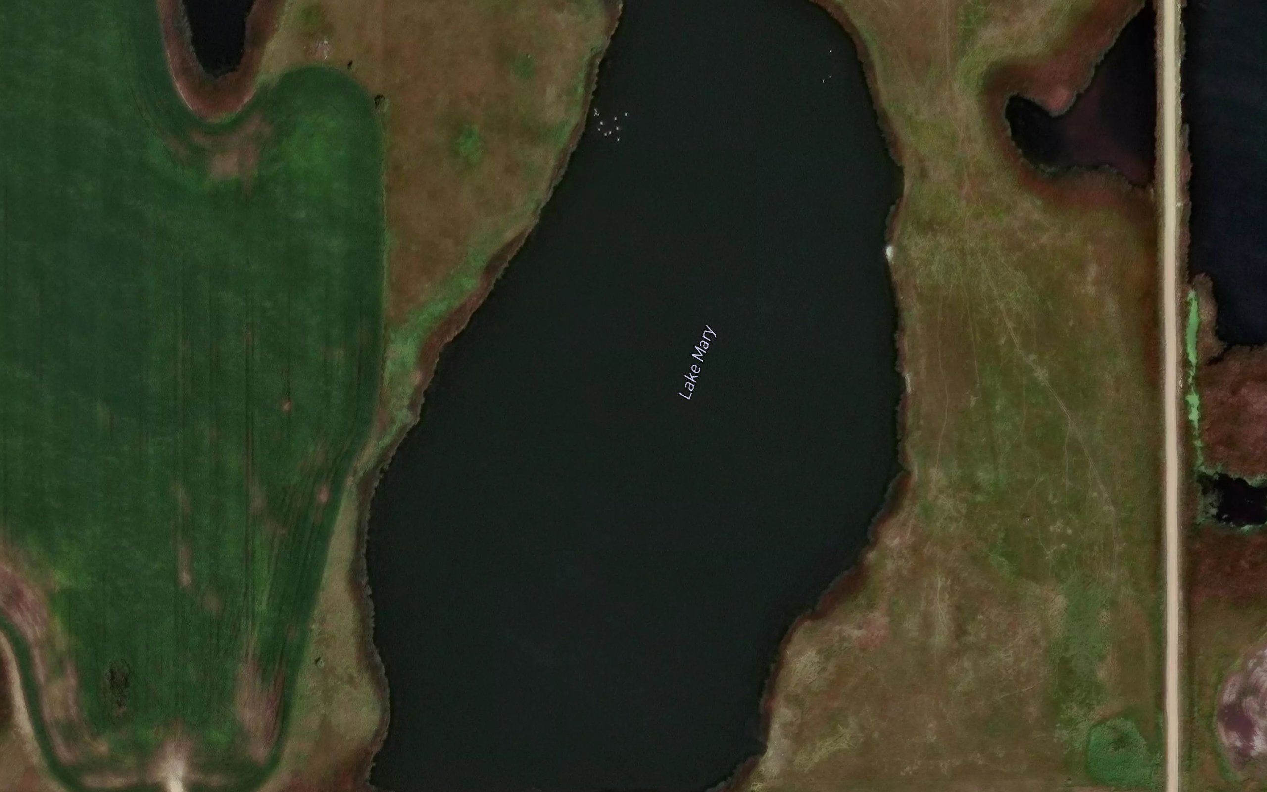 Lake Mary