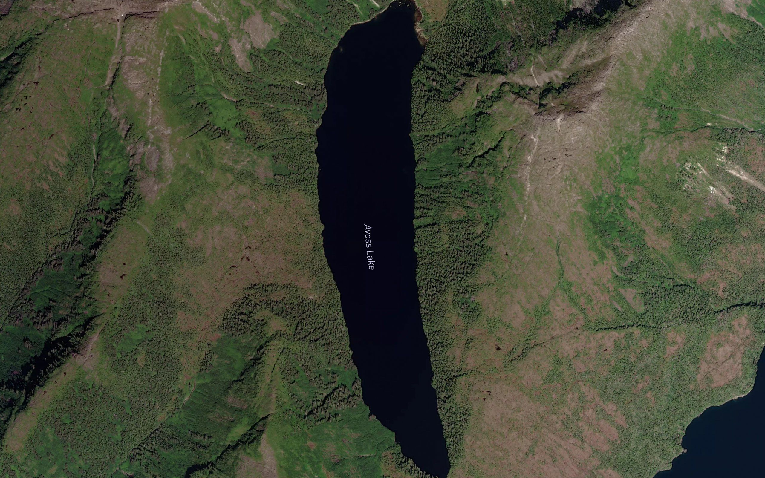 Avoss Lake