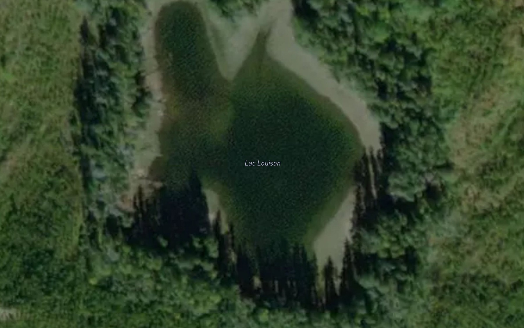 Satellite map of the Lac Louison
