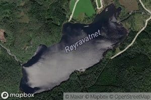 Royravatnet