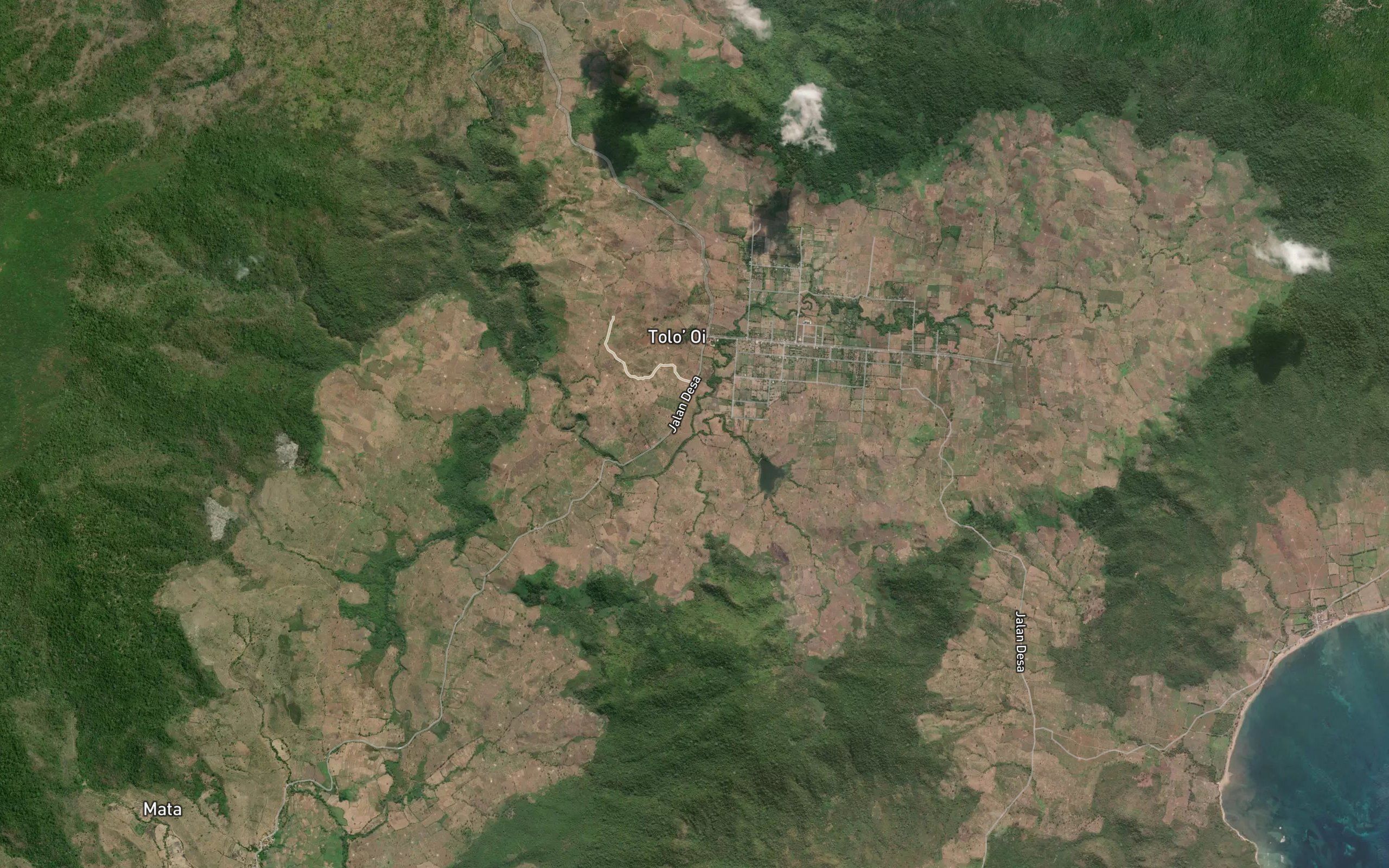 Brang Oiwau