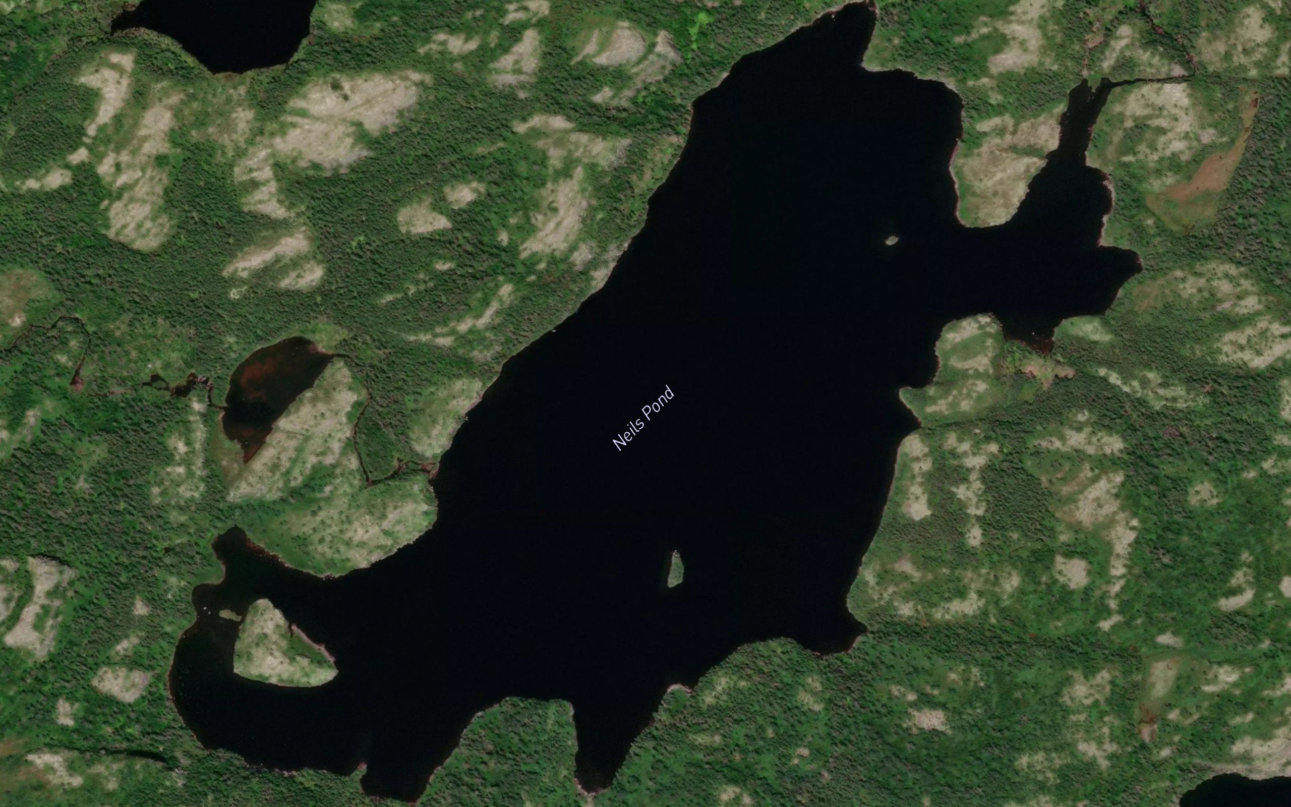 Neils Pond