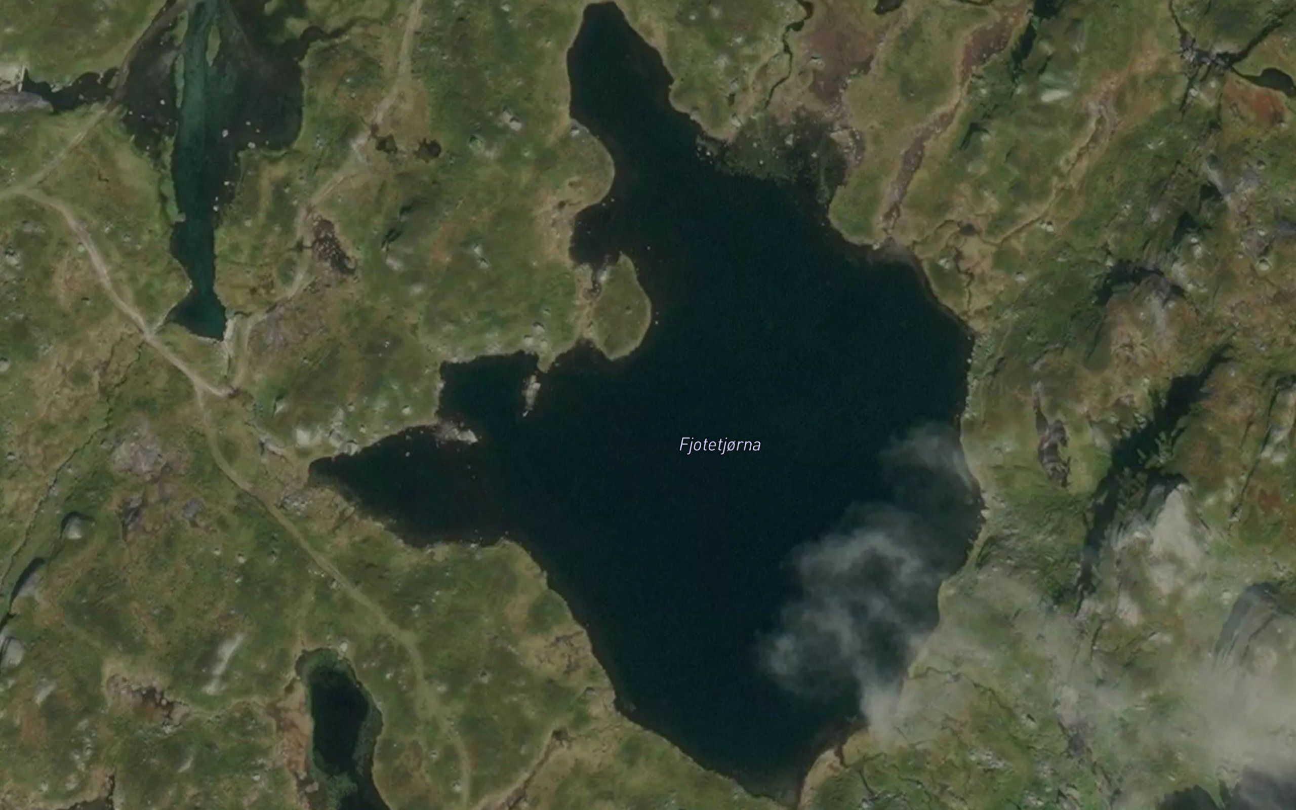 Fjotetjorna