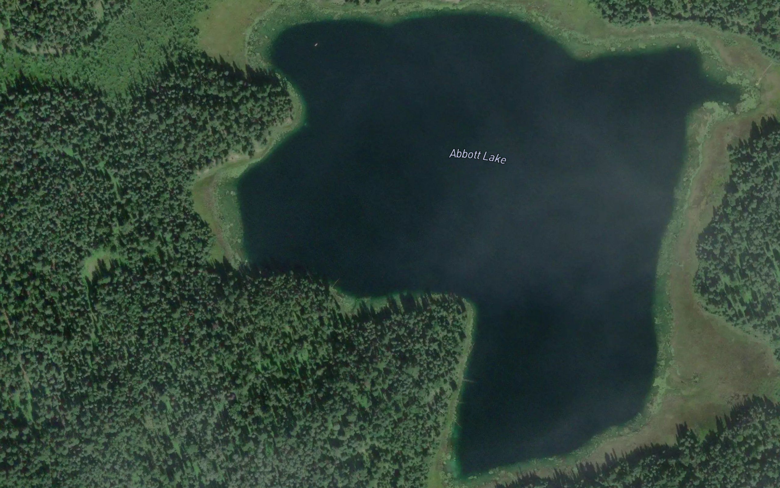 Abbott Lake
