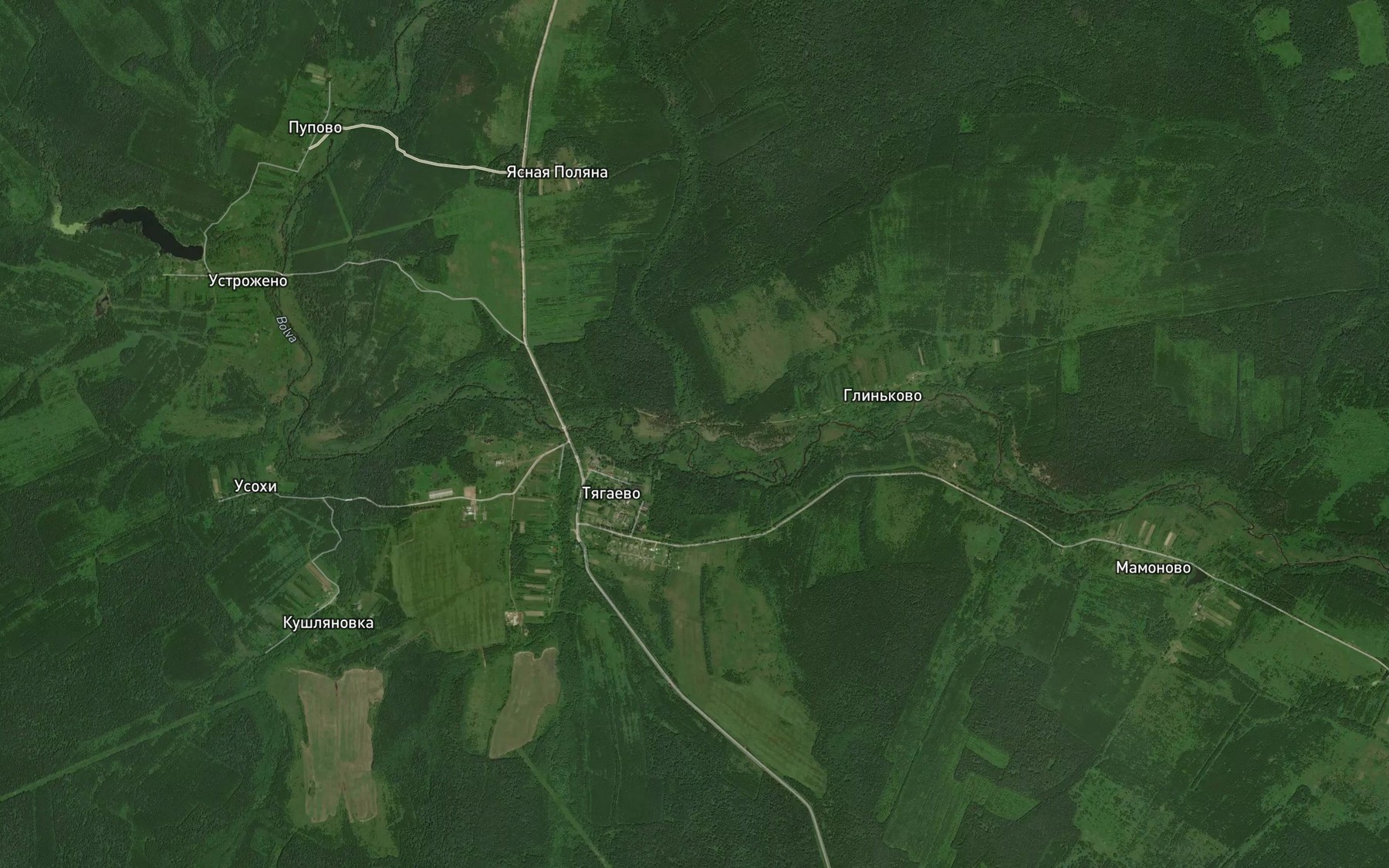Satellite map of the Sin'govka